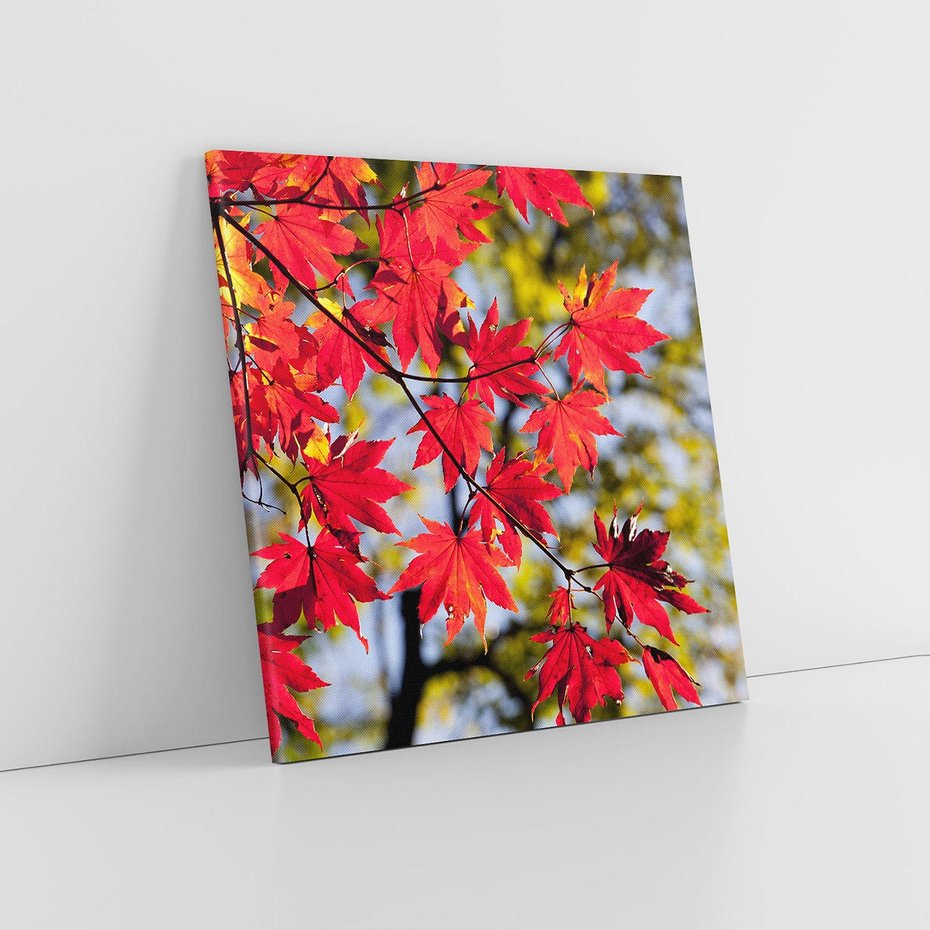 Obraz na płótnie 60x60 - Jesienny Urok Drzewa i Opadających Liści - drzewo, liście