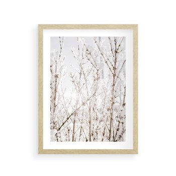 Plakat w ramie 40x50 - Szron na Gałęziach - ośnieżone gałązki, szron na gałęziach - rama drewno