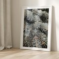Plakat w ramie 30x40 - Zima na Gałęziach - sosnowe gałęzie, igły - rama biała