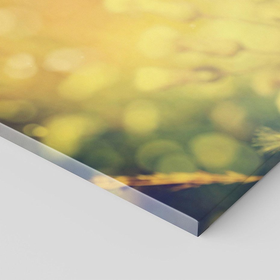 Obraz na płótnie 100x50 - Natura w pełnym rozkwicie - łąka, natura