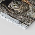 Obraz na płótnie 40x40 - Tajemniczy W świecie Nocy - sowa, dziupla