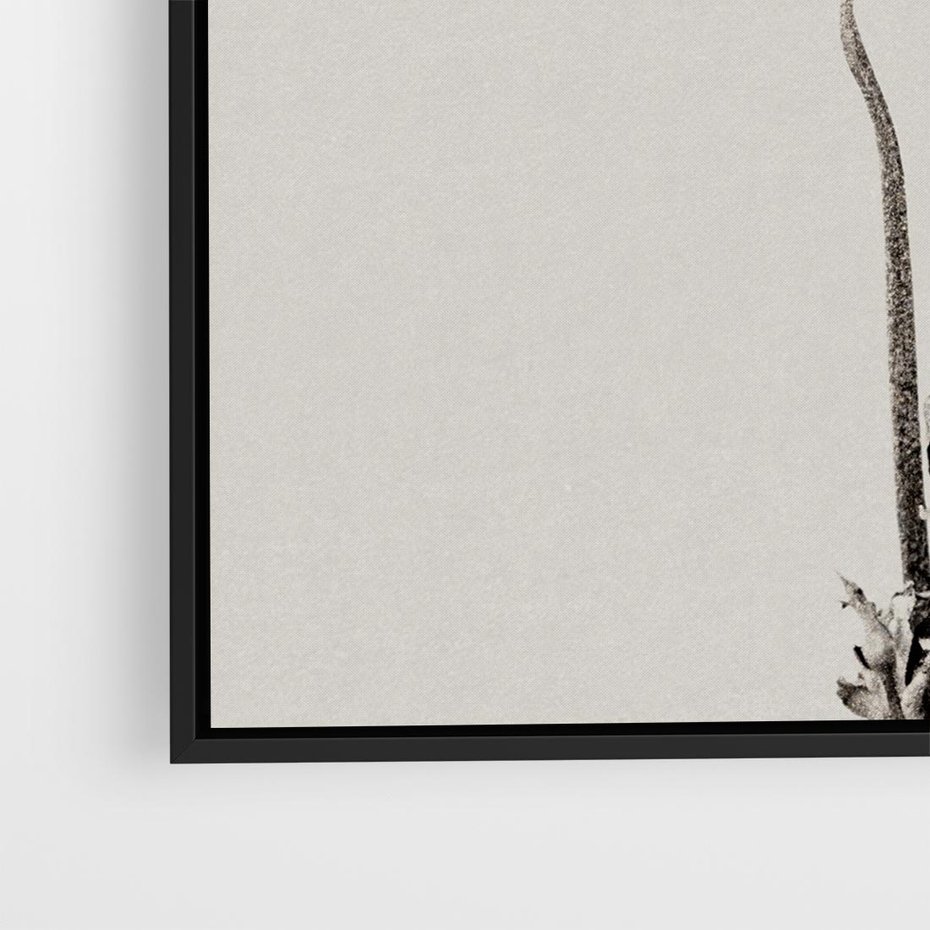 Obraz w ramie 50x50 - Kwiatowa Symfonia w Szarościach - czarno biała odbitka, jak fotografia - rama czarna