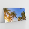 Obraz na płótnie 120x60 - Rajskie palmy w tropikalnym raju - palmy, tropiki