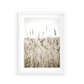 Plakat w ramie 30x40 - Nostalgiczny Pejzaż - suche trawy, pole - rama biała