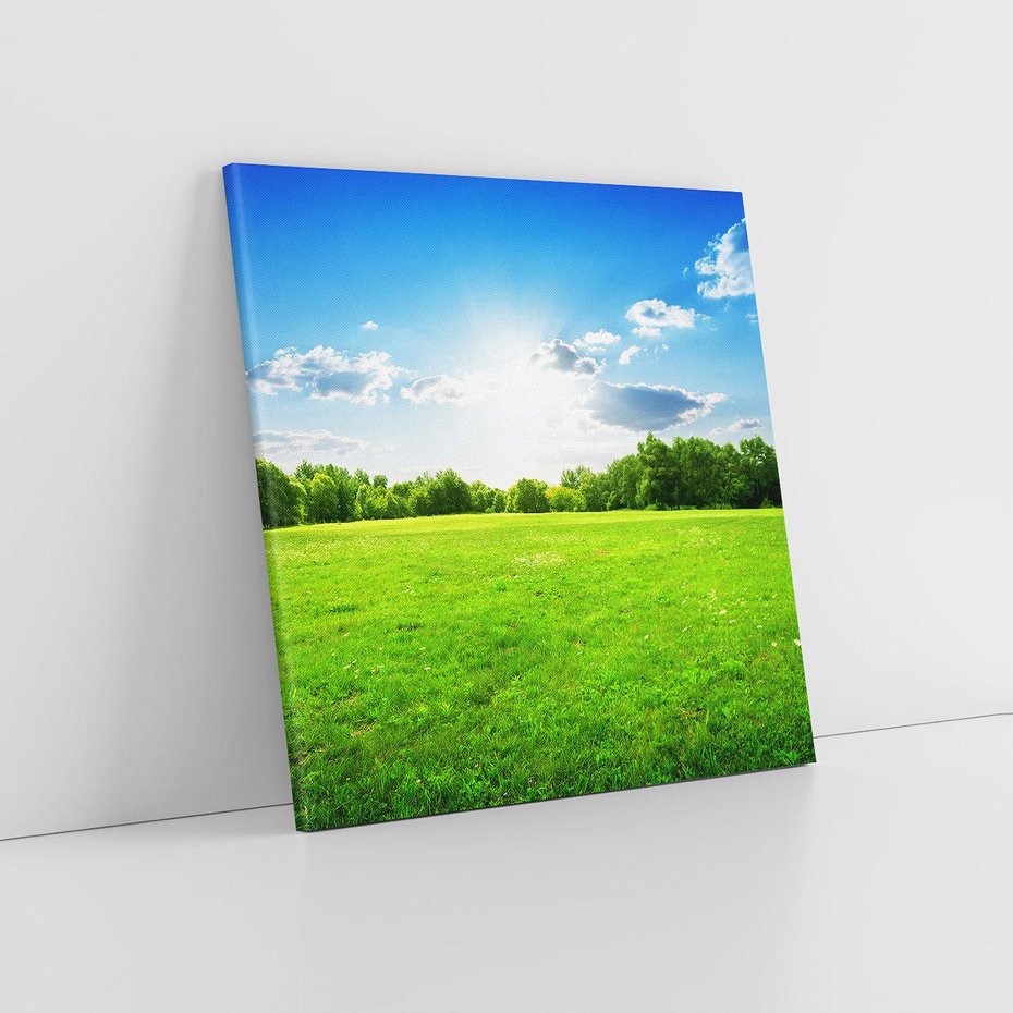 Obraz na płótnie 60x60 - Idylla na łące drzew - łąka, drzewa