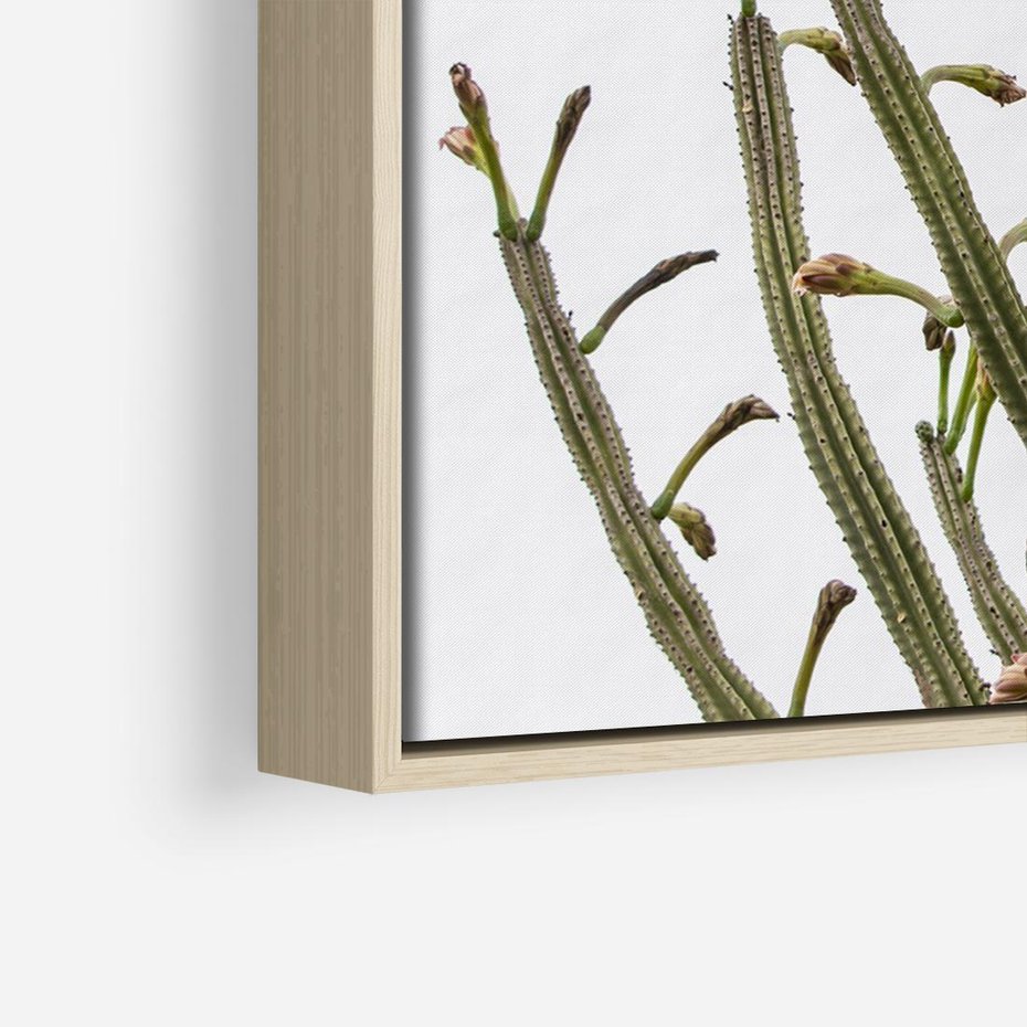 Obraz w ramie 70x50 - Ekskluzywna Roślinność - kaktusy, liście - rama drewno