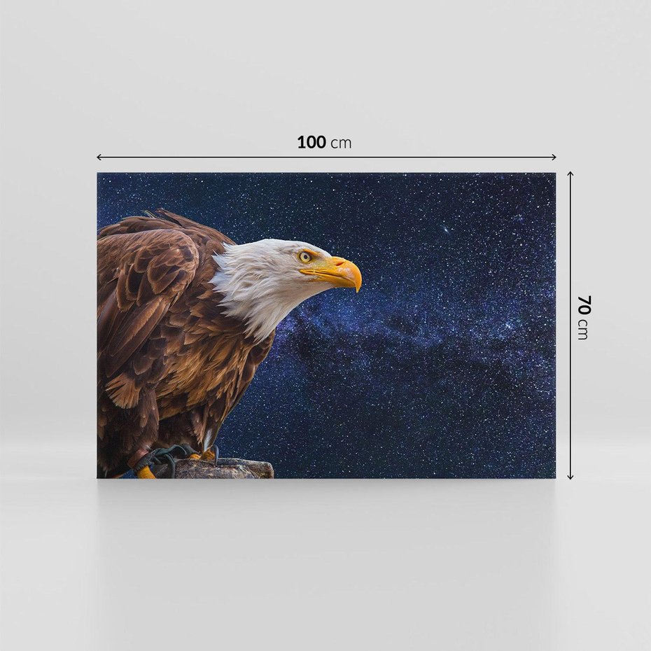 Obraz na płótnie 100x70 - Orzeł w niebieskiej przestrzeni - orzeł, ptak