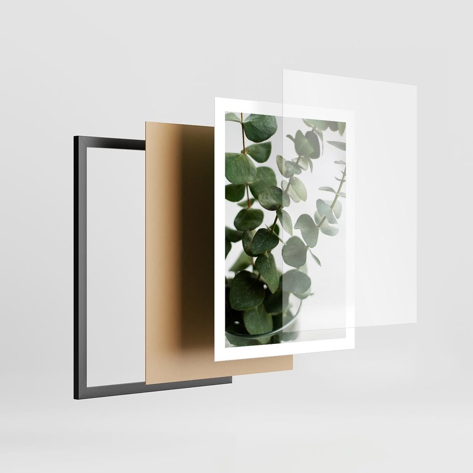 Plakat w ramie 50x70 - Zielone eukaliptusy - eukaliptus, liście - rama czarna