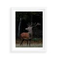 Plakat w ramie 40x50 - Spotkanie z naturą - jeleń, las - rama biała