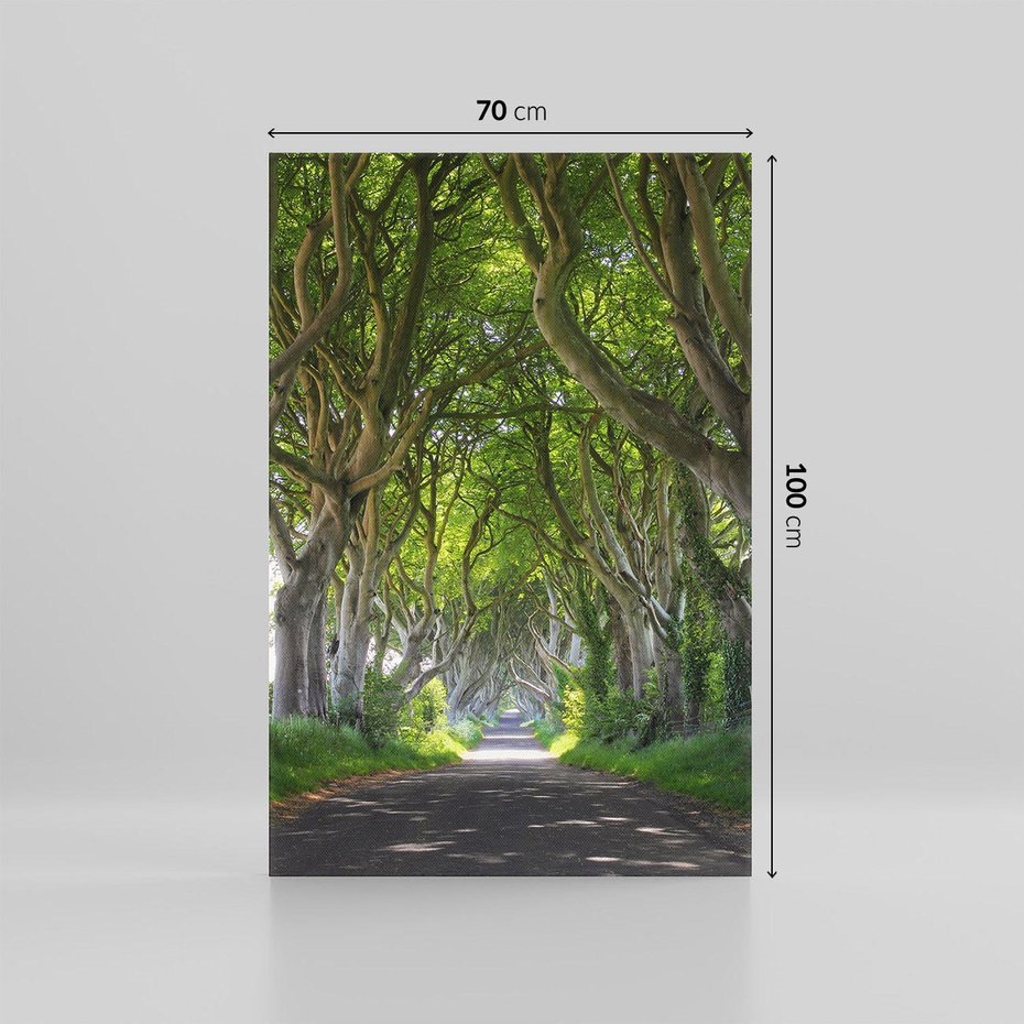 Obraz na płótnie 70x100 - Magiczny Las - drzewa, las