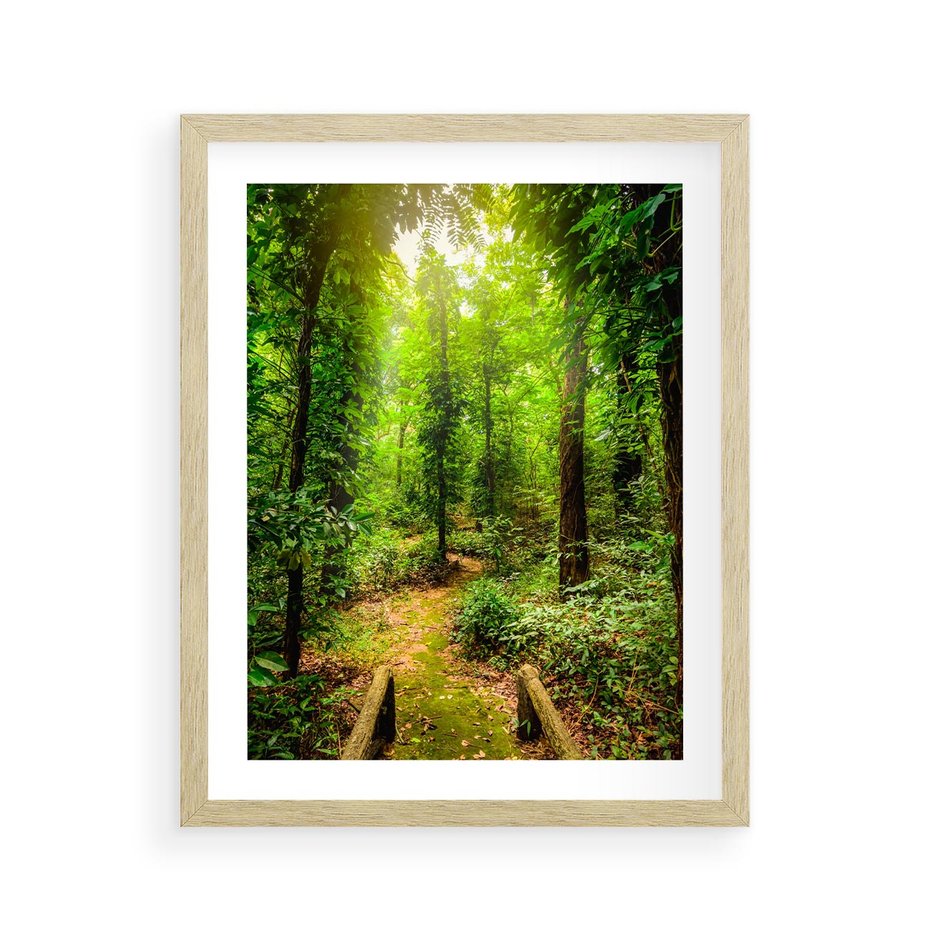 Plakat w ramie 40x50 - Współistnienie z naturą - drzewa, las - rama drewno