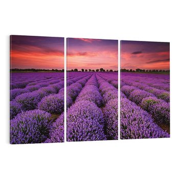 Obraz na płótnie 120x80 - Lawenda: polne zauroczenie - lawenda, kwiaty