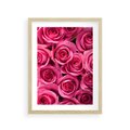Plakat w ramie 30x40 - Romantyczne róże w pełnym rozkwicie - róże, kwiaty - rama drewno