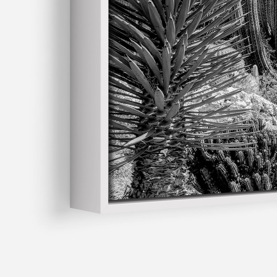 Obraz w ramie 50x70 - Pustynny Klimat - czarno białe zdjecie, pustynia - rama biała