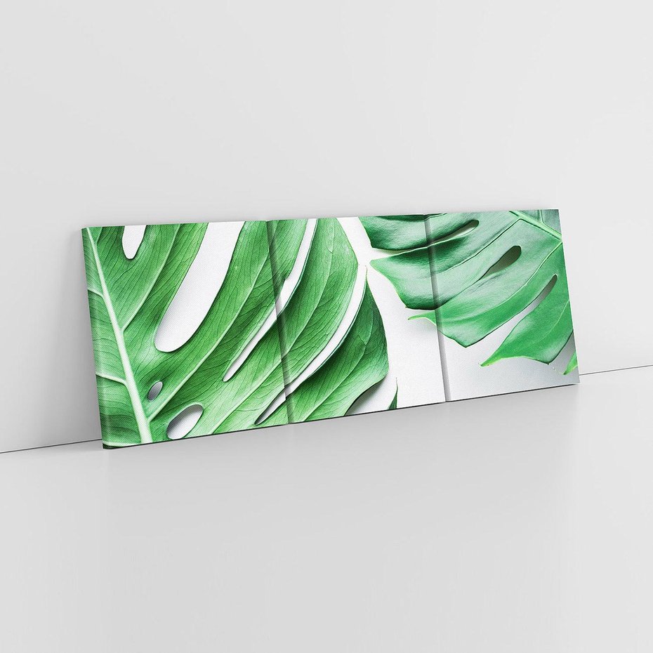 Obraz na płótnie 120x40 - Monstera - Liście Kwiaty - monstera, liście