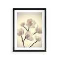 Plakat w ramie 30x40 - Elegancja Natury - magnolia, białe - rama czarna