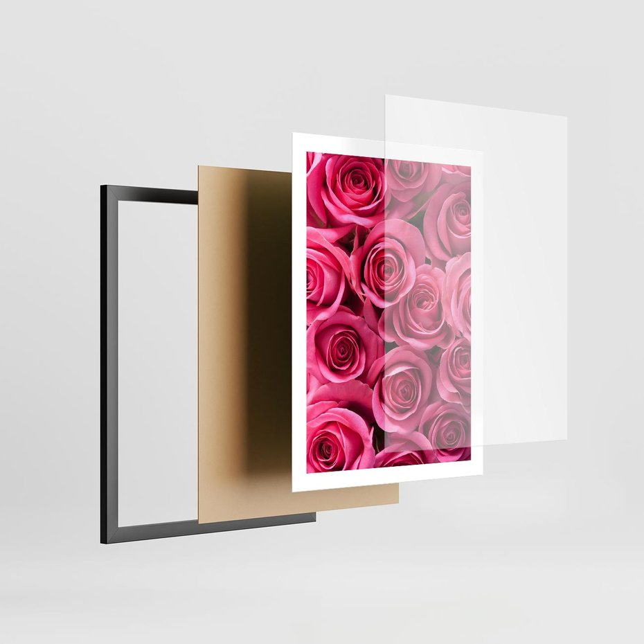 Plakat w ramie 50x70 - Romantyczne róże w pełnym rozkwicie - róże, kwiaty - rama czarna