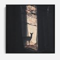 Obraz w ramie 50x50 - Sarnie Skoki - zdjęcie, klimatyczny las - rama czarna
