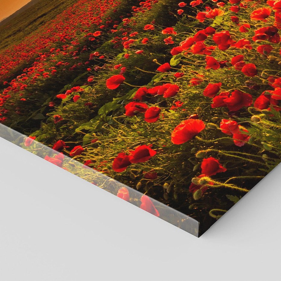 Obraz na płótnie 140x70 - Makowe uczucia - maki, kwiaty