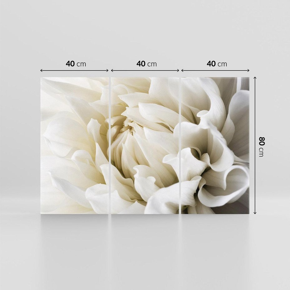 Obraz na płótnie 120x80 - Białe Kwiaty Delikatności - białe, kwiaty