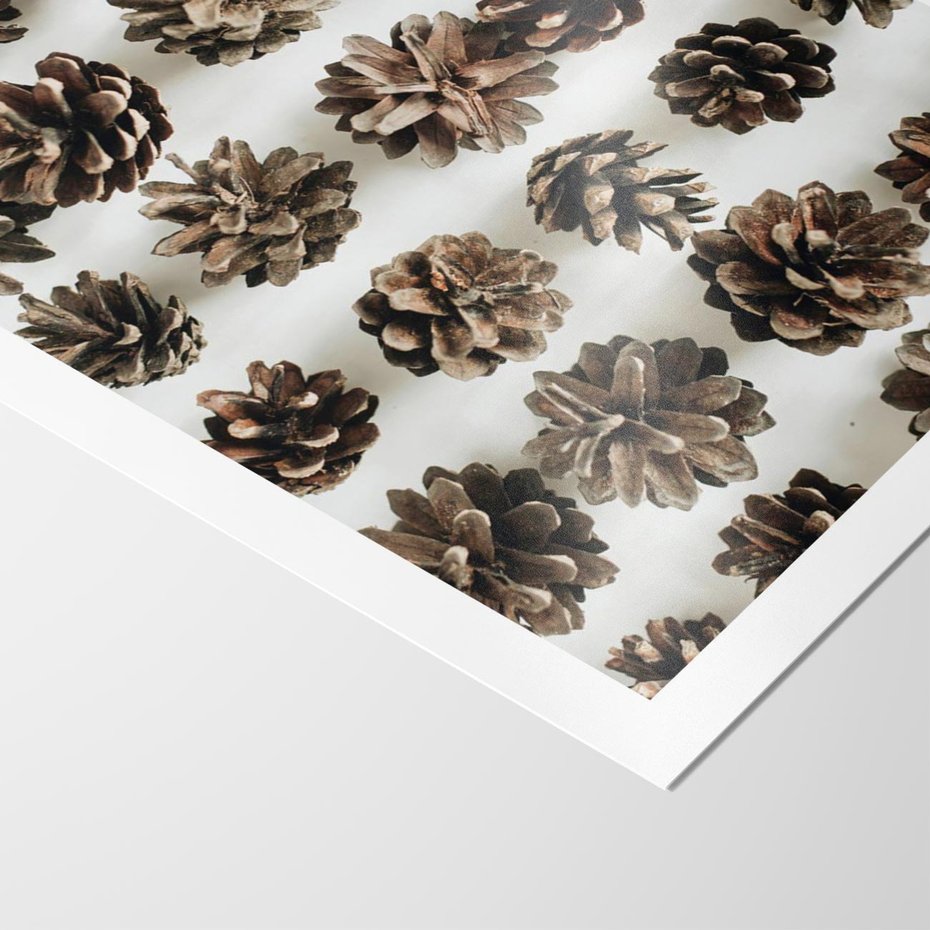 Plakat bez ramy 50x70 - Jesienna Tekstura - kompozycja z suchych szyszek, jesienne szyszki