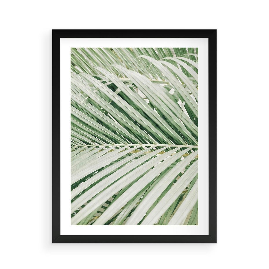 Plakat w ramie 50x70 - Liście Palmy: Egzotyczna Grafika - palma, liście palmy - rama czarna