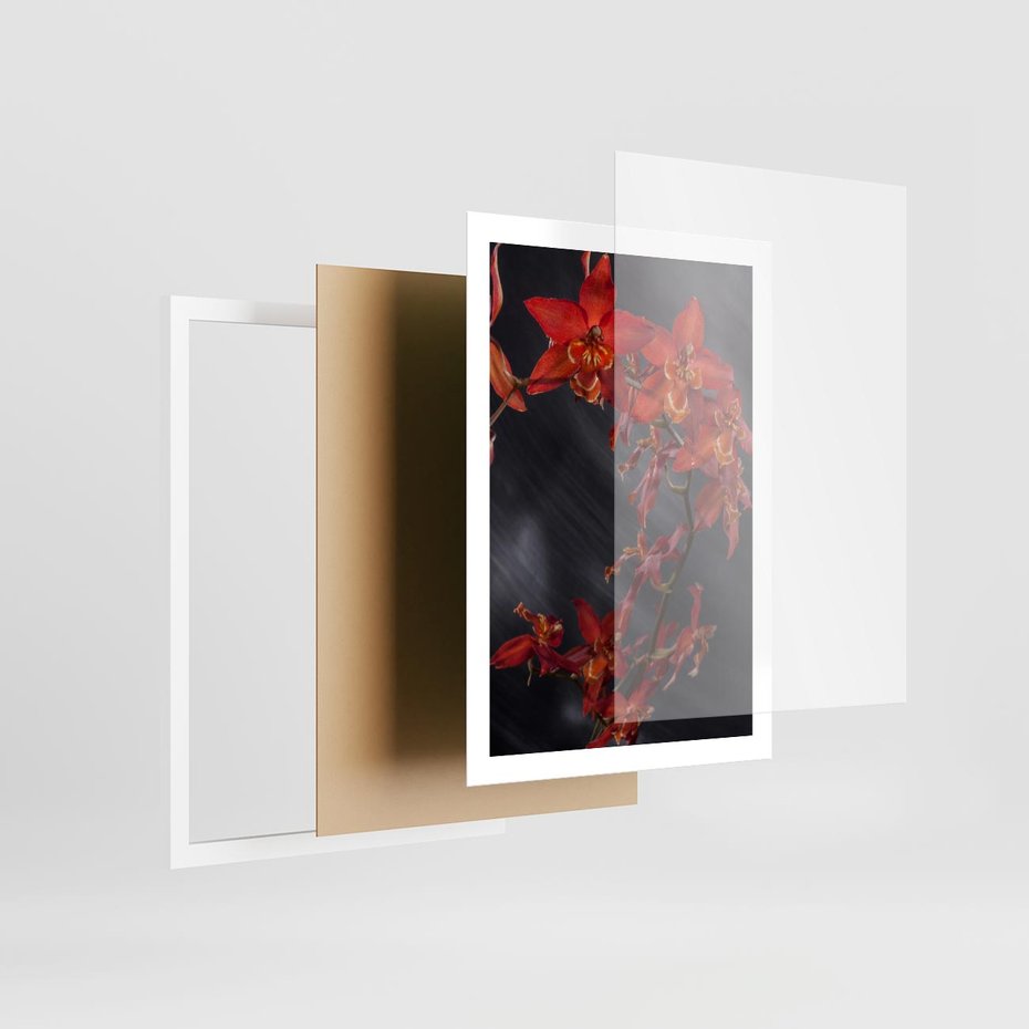 Plakat w ramie 50x70 - Kolorowy Raj - kwiaty, tropikalne - rama biała