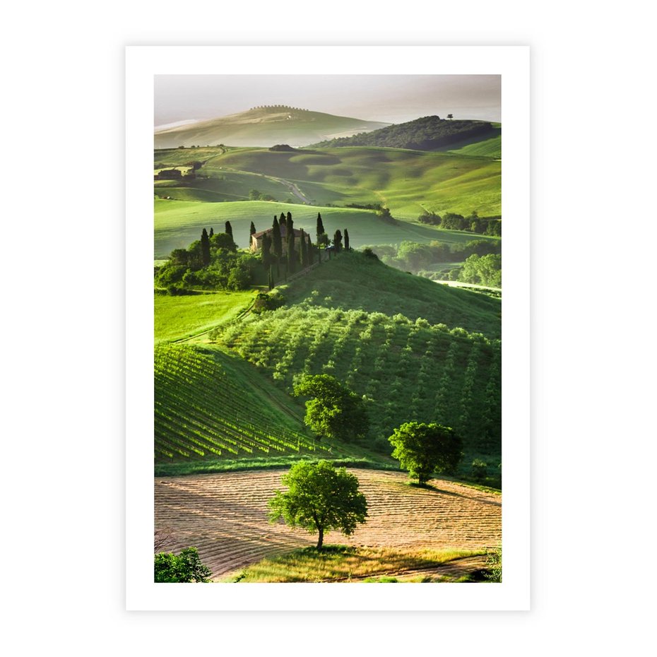 Plakat bez ramy 21x30 - Prowansja: malownicze winnice w kraju Włoch - Prowansja, Włochy