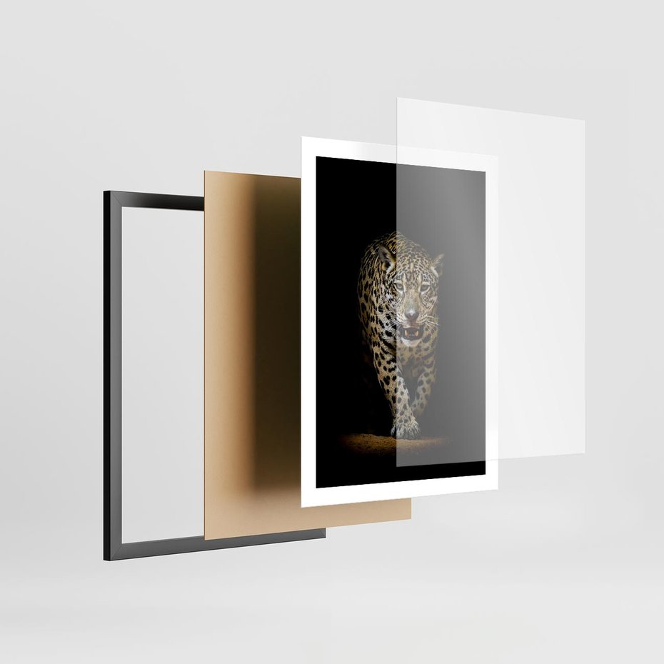 Plakat w ramie 50x70 - Elegancja lamparta - lampart, pantera - rama czarna