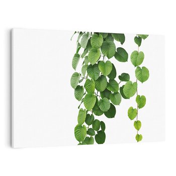 Obraz na płótnie 70x50 - Świeżość Natury - liście, zielone