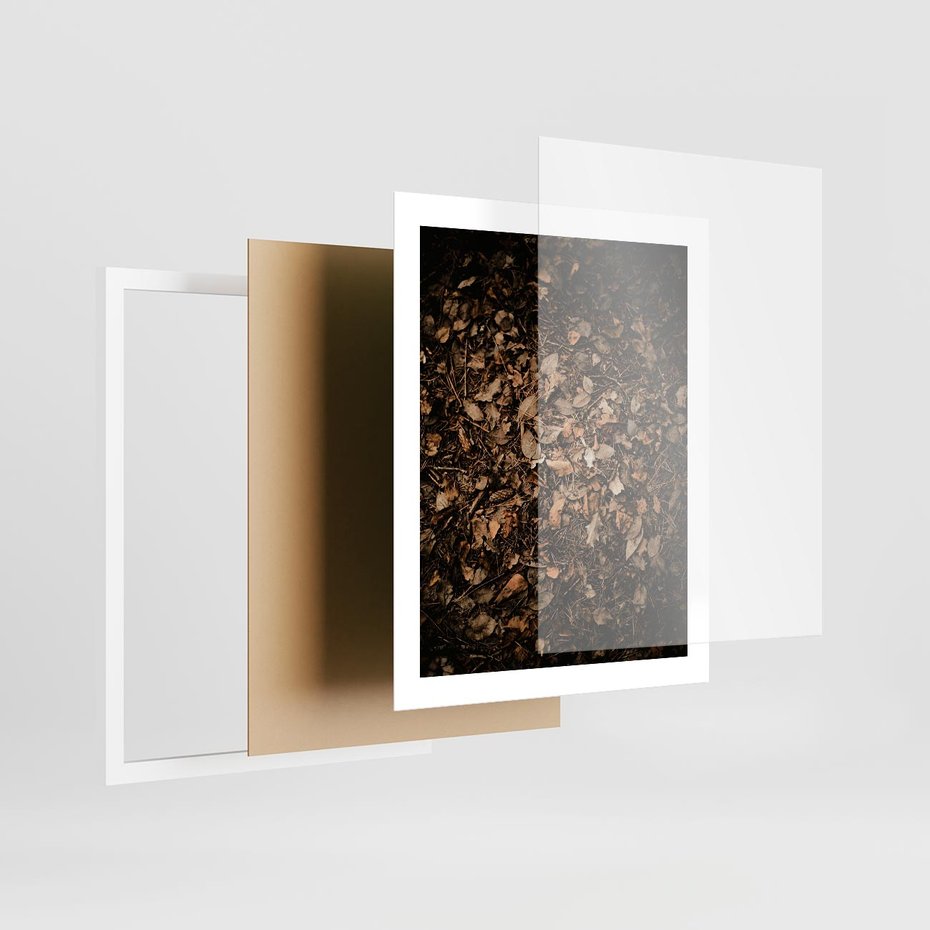Plakat w ramie 40x50 - Brązowe Liście w Scenerii - suche liście jesień brąz - rama biała