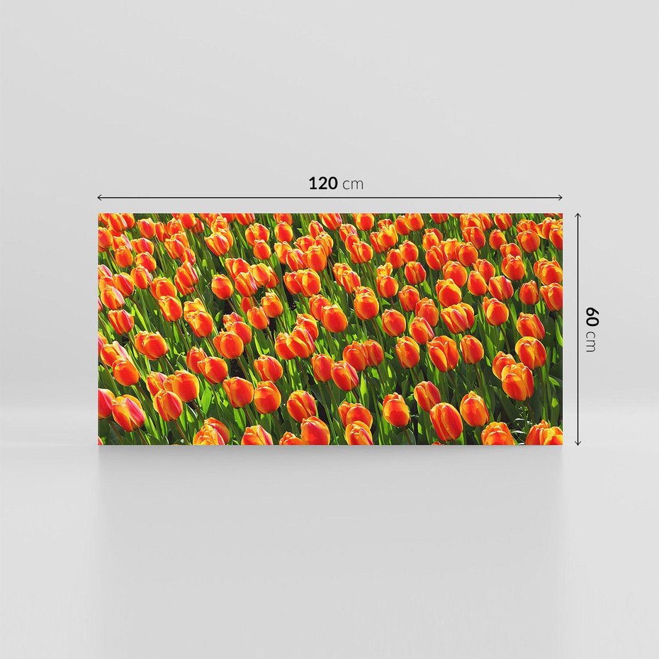 Obraz na płótnie 120x60 - Tulipanowa eksplozja - tulipany, kwiaty