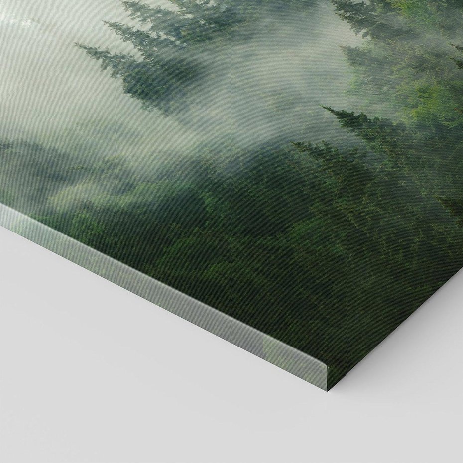 Obraz na płótnie 80x80 - Las Mgły - Las, we