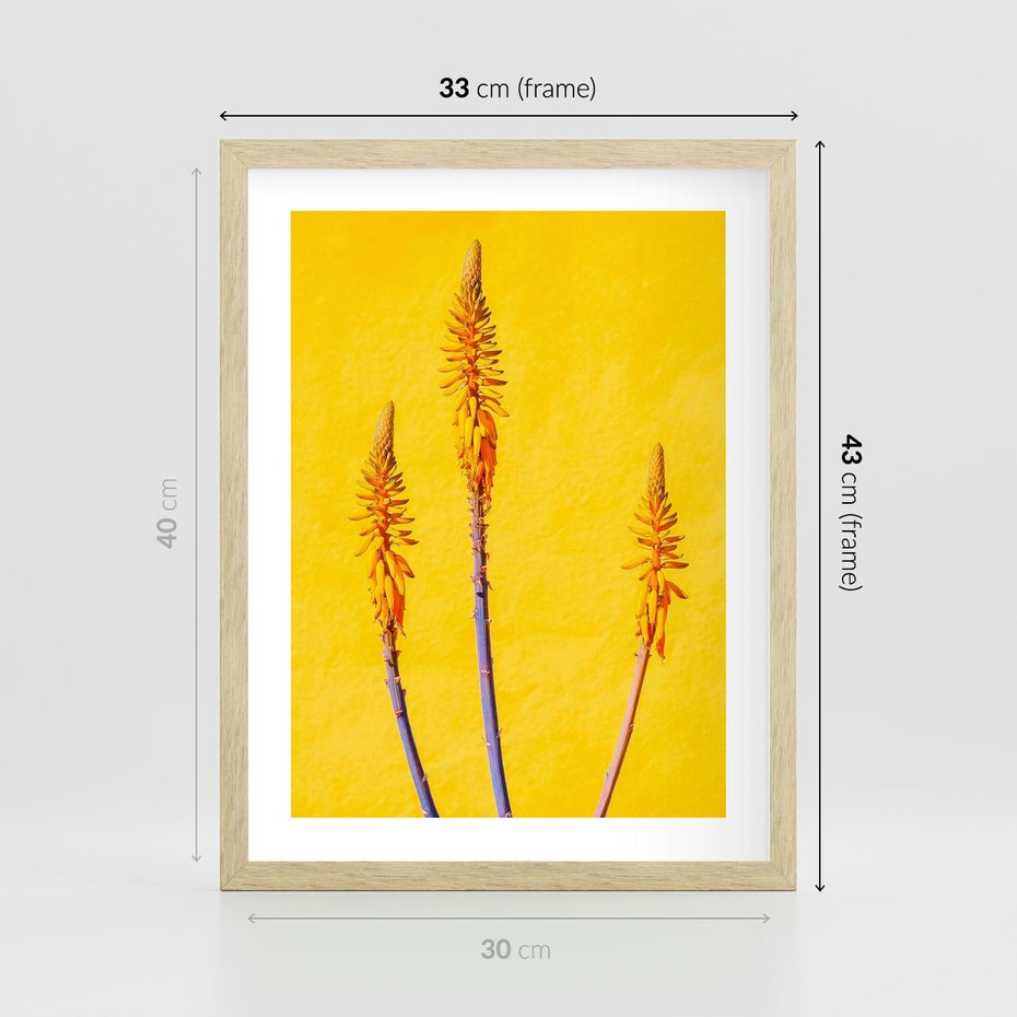 Plakat w ramie 30x40 - Radość Natury - kolor, kwiaty - rama drewno