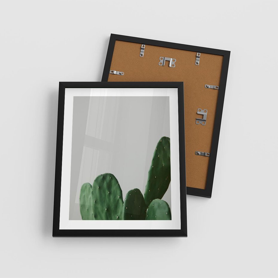 Plakat w ramie 40x50 - Majestatyczne Wysokości - kaktusy, liście - rama czarna