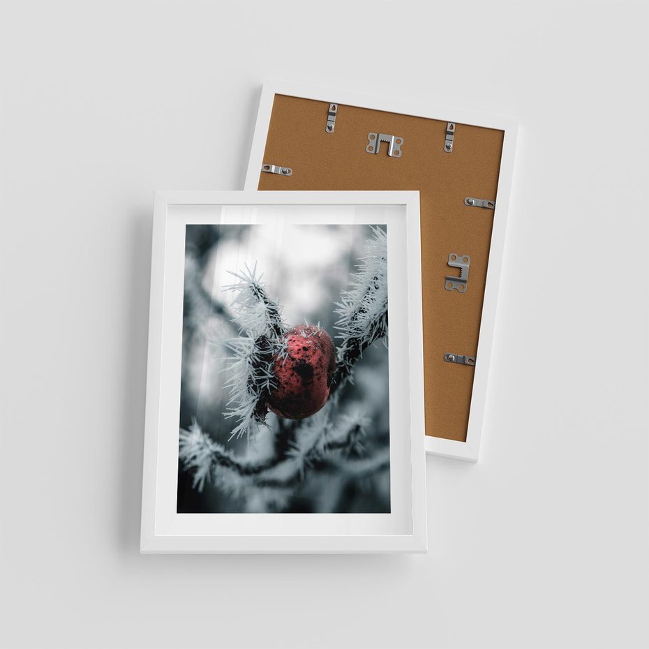 Plakat w ramie 30x40 - Chwila Zimowego Uroku - zima, ośnieżona gałązka - rama biała