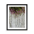 Plakat w ramie 40x50 - Fioletowe Wrzosy - wrzosy, fiolet - rama czarna