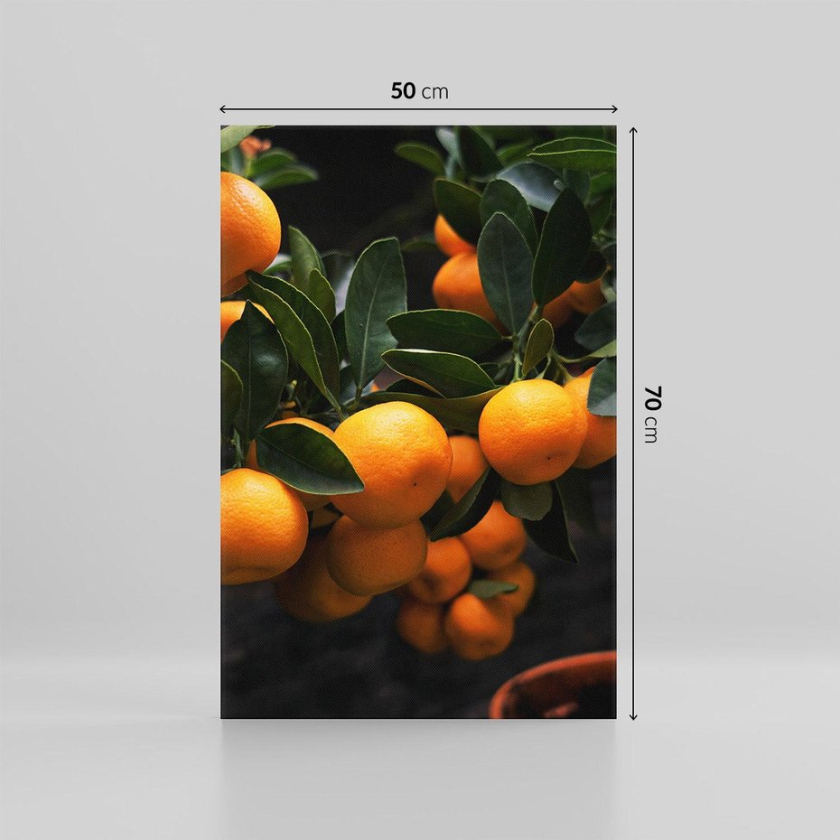 Obraz na płótnie 50x70 - Mandarynki na Drzewku - Owoce Pory Roku - mandarynki, drzewko
