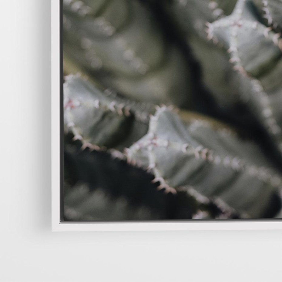 Obraz w ramie 50x50 - Boho kaktusy na pustyni - kaktusy, pustynia - rama biała