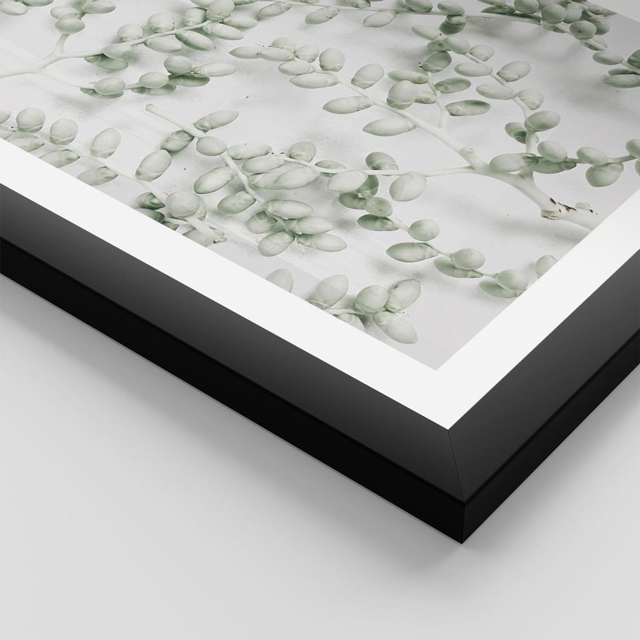 Plakat w ramie 50x70 - Delikatność Zieleni - zielone gałązki, listki - rama czarna