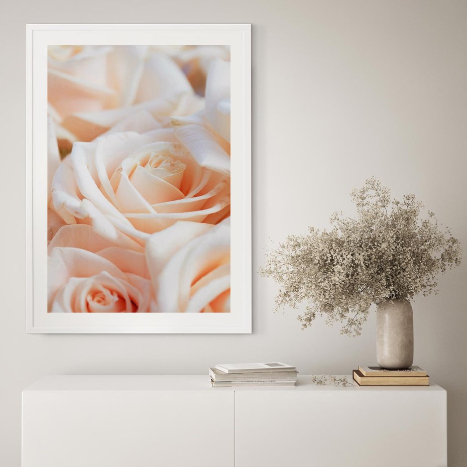 Plakat w ramie 30x40 - Aromatyczna Piękność - płatki herbacianej róży, kwiaty - rama biała