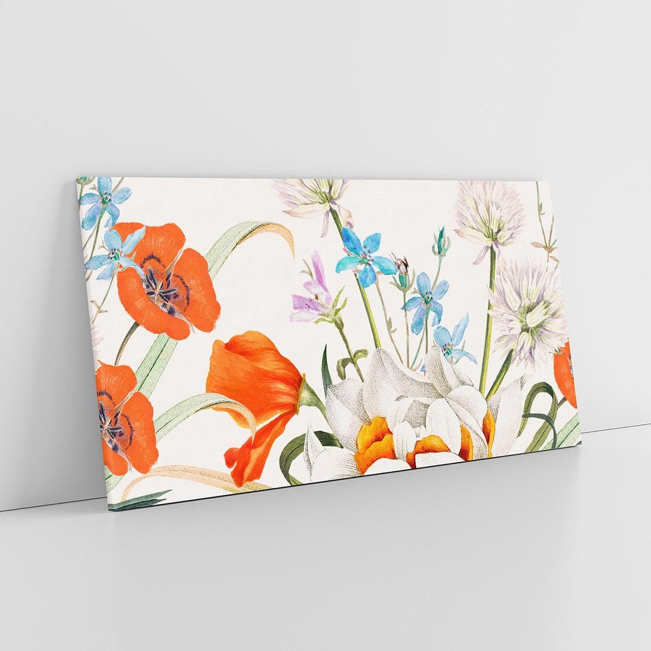 Obraz na płótnie 100x50 - Polne Kwiaty - polne kwiaty, na białym tle