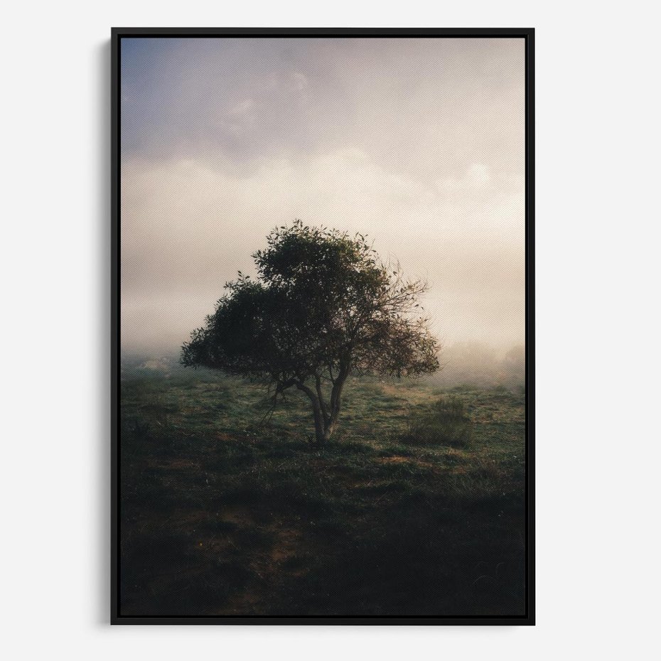 Obraz w ramie 70x100 - Zamglona Prostota - artystyczna fotografia, samotne drzewo na zamglonej łące - rama czarna