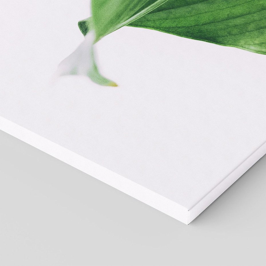 Obraz na płótnie 120x40 - Zielone liście monstery - liście, monstera