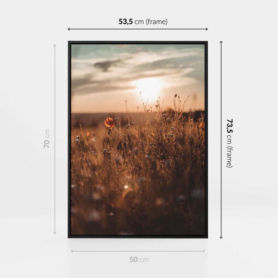 Obraz w ramie 50x70 - Zachwyt zachodem słońca na łące - zachód, słońca - rama czarna