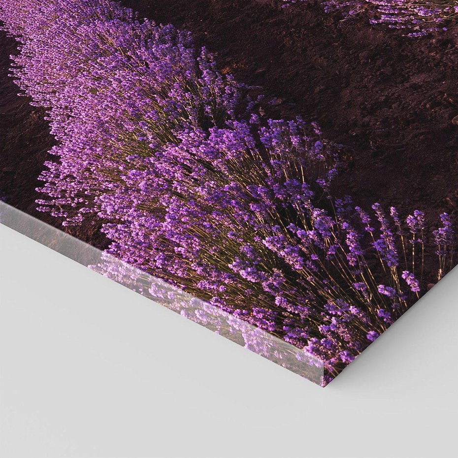 Obraz na płótnie 70x100 - Pola lawendy w pełnym rozkwicie - Lawenda, krajobraz