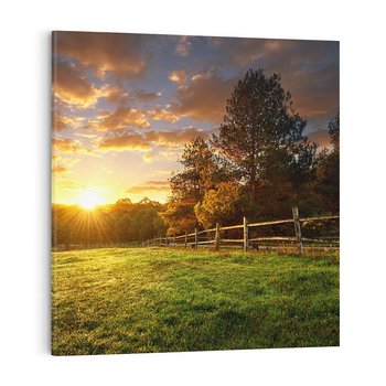 Obraz na płótnie 60x60 - Urok zachodu słońca na łące z drzewami - łąka, zachód