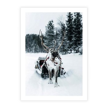 Plakat bez ramy 30x40 - Świąteczna Przygoda - renifer, śnieg