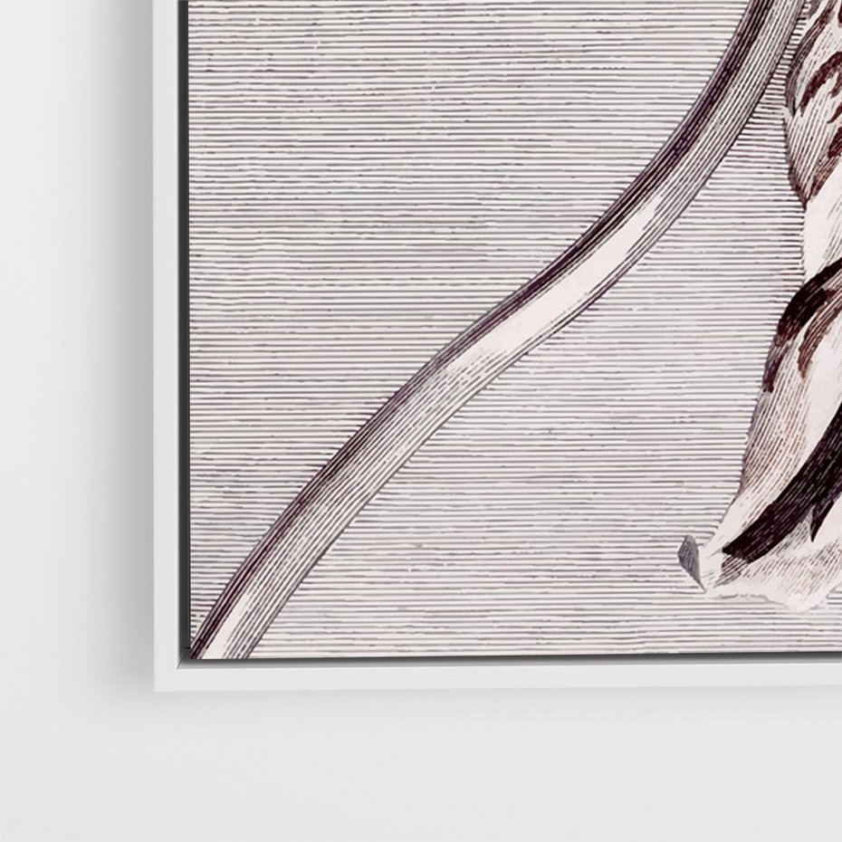 Obraz w ramie 50x70 - Graficzna Elegancja - nowoczesna sztuka, grafika - rama biała