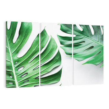 Obraz na płótnie 120x80 - Monstera - Liście Kwiaty - monstera, liście